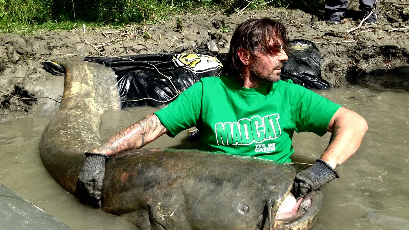 Varga Vilmos: senki sem fogott nálam nagyobb harcsát műcsalival!