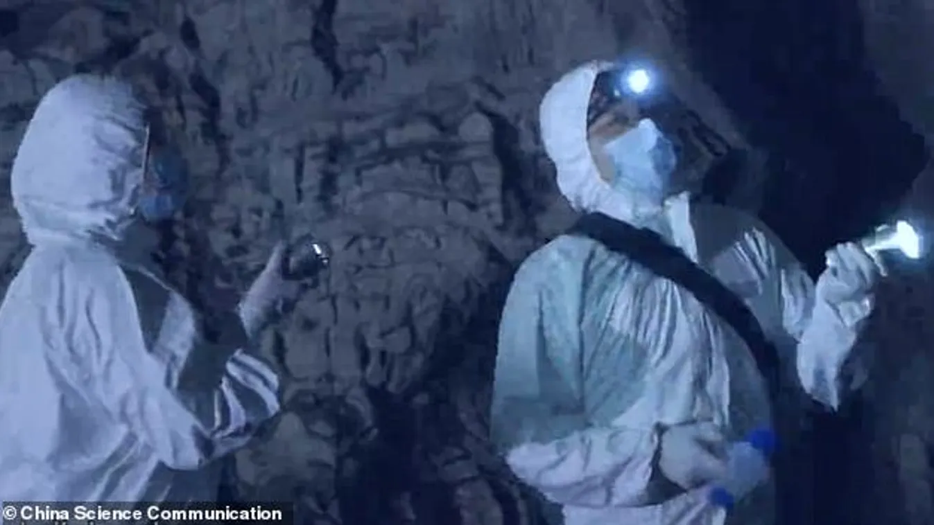 Megdöbbentő videó, kínai tudósok denevérekre vadásznak a járvány kirobbanása előtt Vuhanban