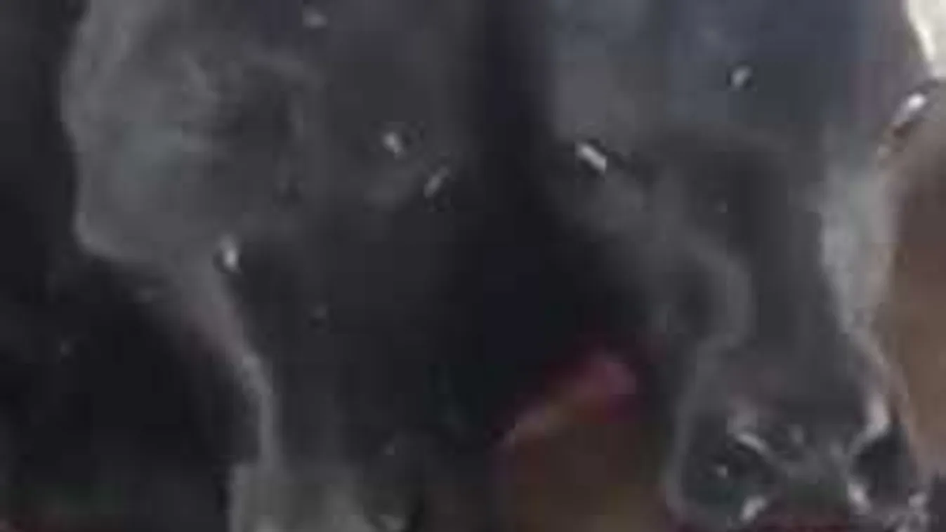 A sátán eljövetelét látják a napokban született fekete mutánsban - Videó