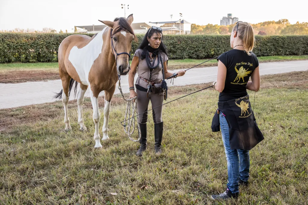 20191024_Tenya_Lovakkalsuttogo_MG_025