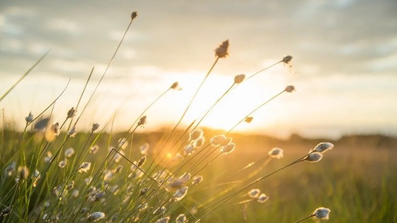 Vehetjük a strandpapucsot: brutális melegfront csap le az országra