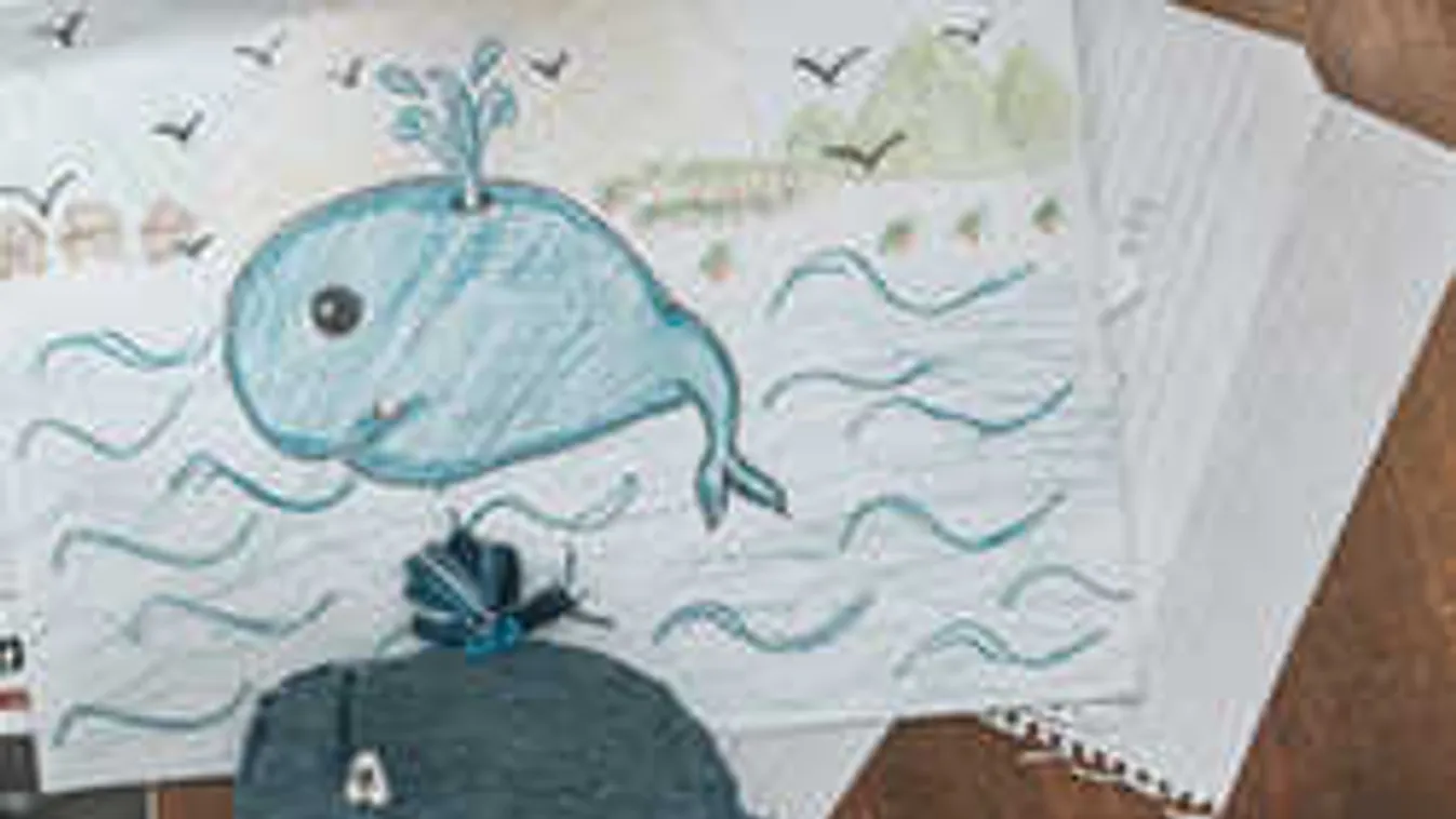 Megállíthatatlan a magyar tiniket öngyilkosságba hajszoló Kék Bálna?