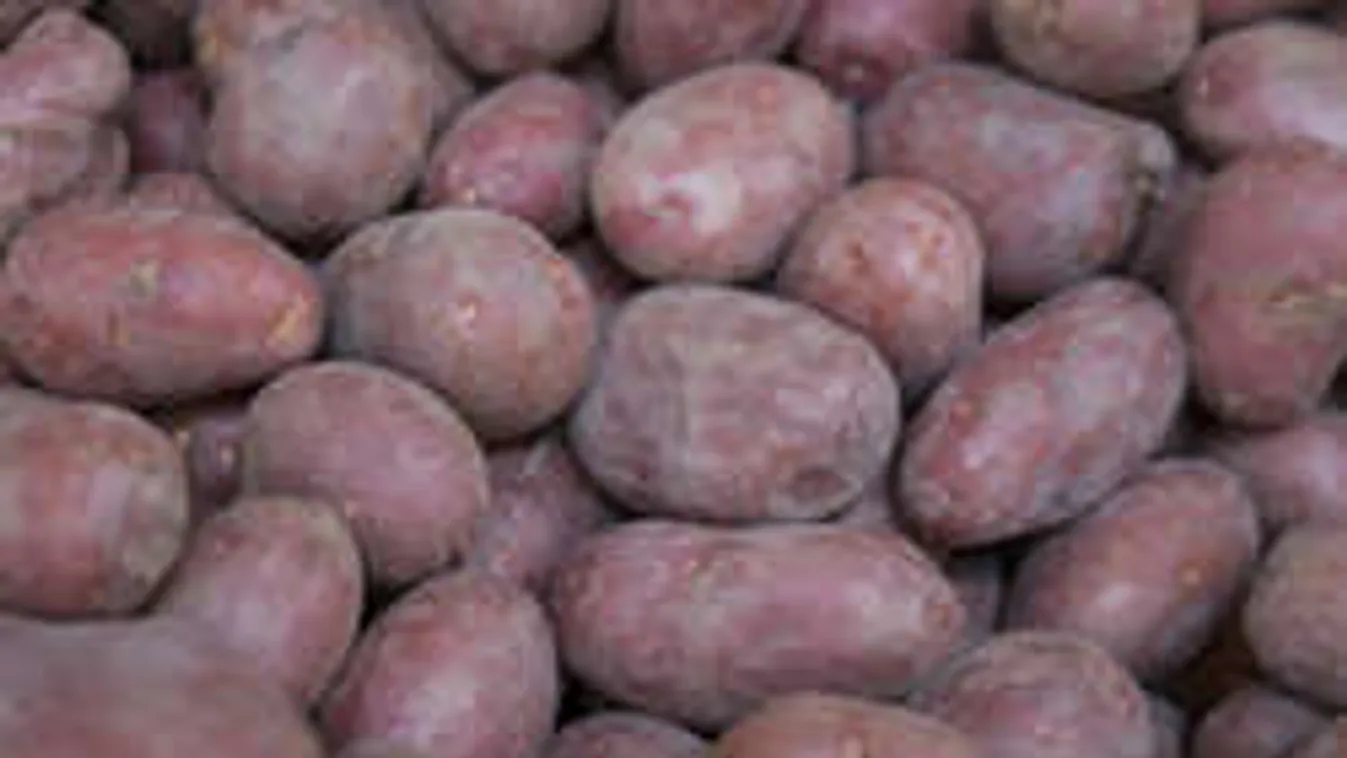 Berobban a krumpli ára, pedig most sem olcsó