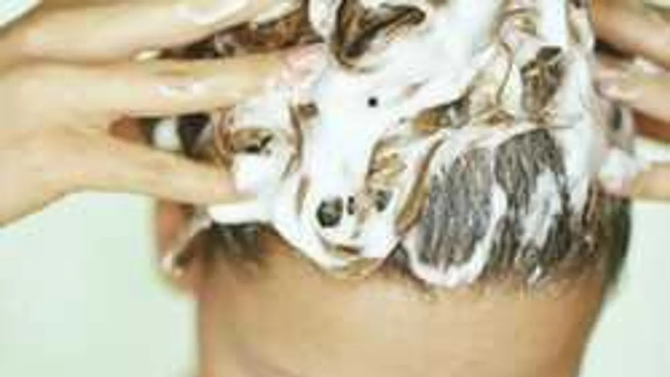 8 szuper trükk, hogy végre megállítsd a hajhullást