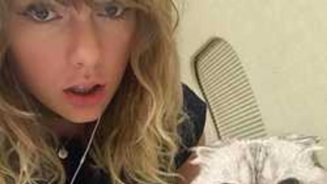 Ez a sztármacska tökéletes Victoria Beckham lenne