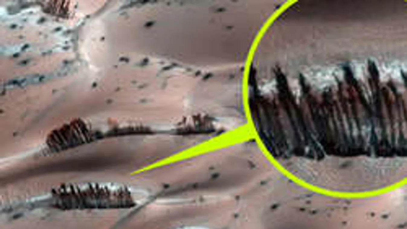 Itt a bizonyíték: Növényi élet van a Marson!