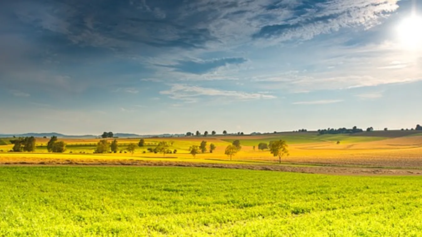 Ezért életveszélyes a szex most a szabadban