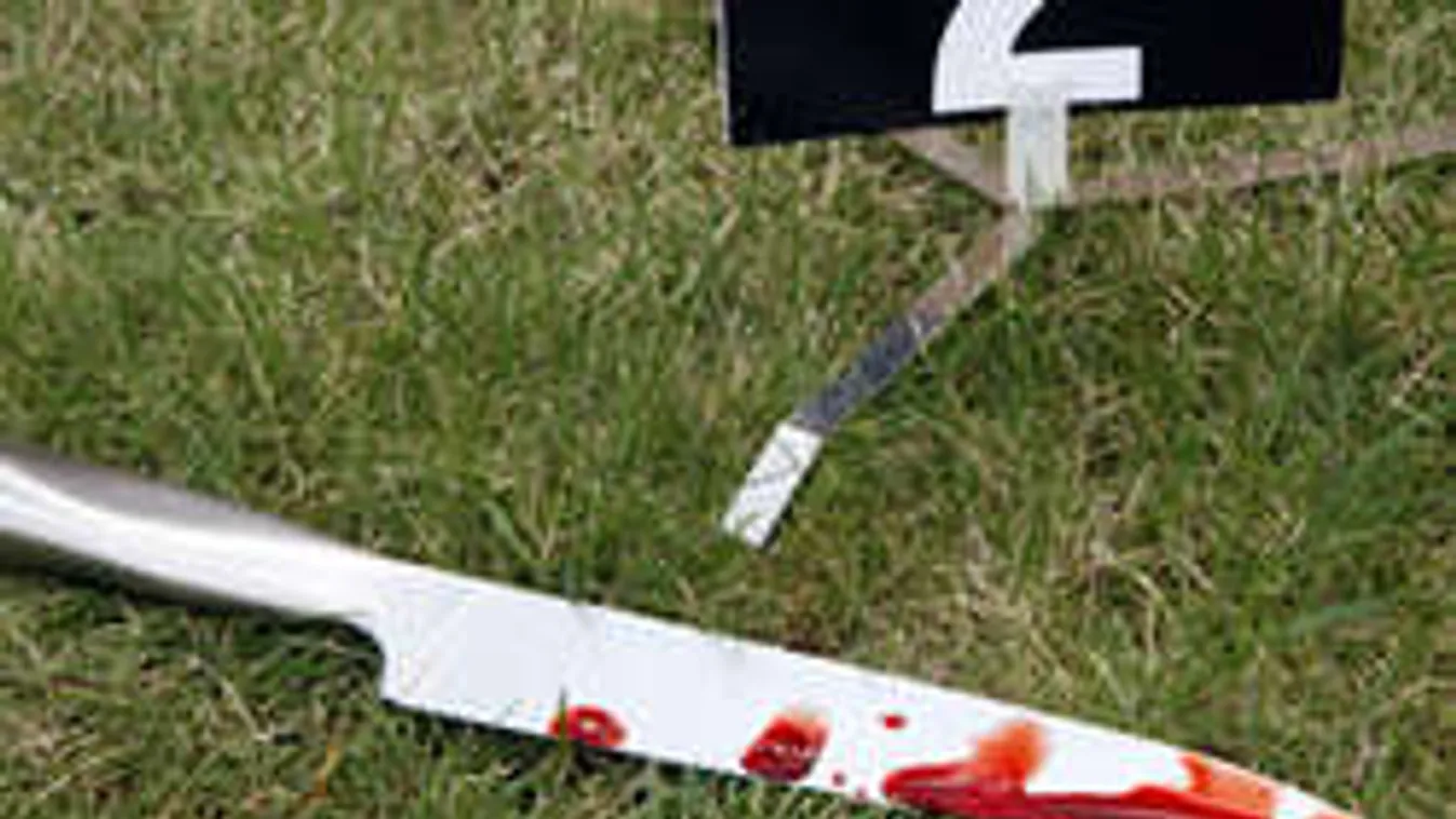 Előre megírta gyilkosságát a férfigyűlölő pszichológus