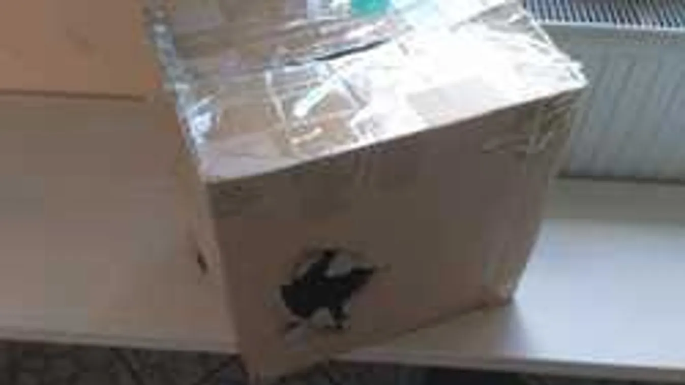 Elképesztő, hogy mit találtak a rendőrök egy veszprémi férfi autójában