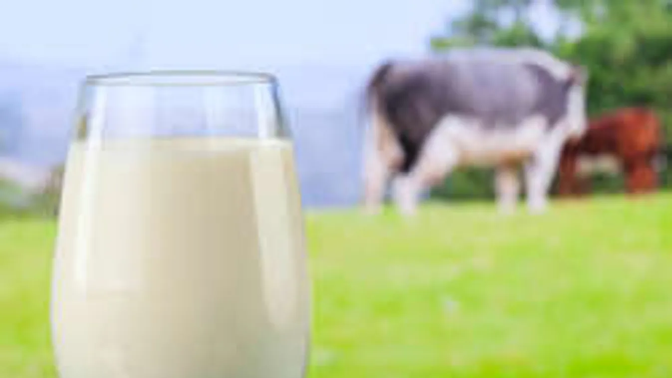 Csodatej a szívinfarktus ellen- Felfedezés a Harvard egyetemen