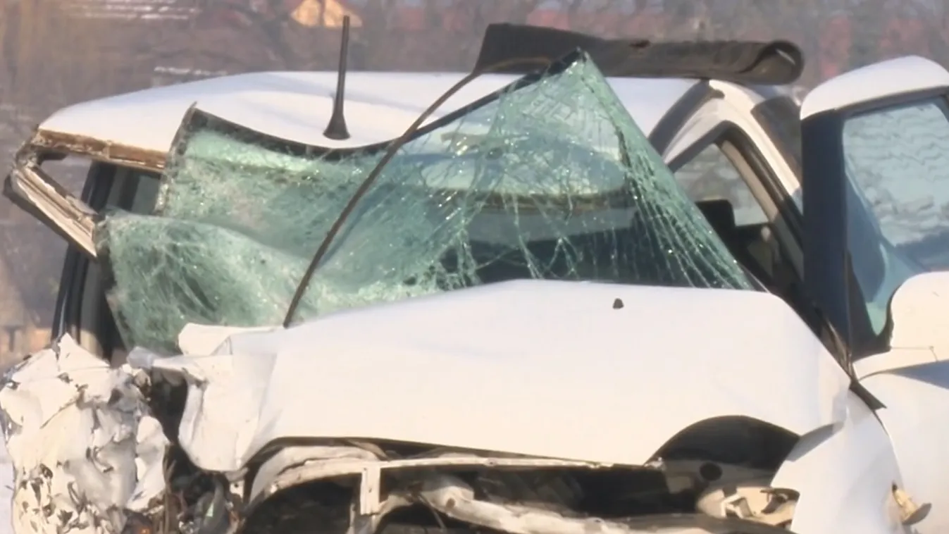 Karácsonyfát akart vinni a családjának, de nem ért haza vele a kányai férfi – Videó