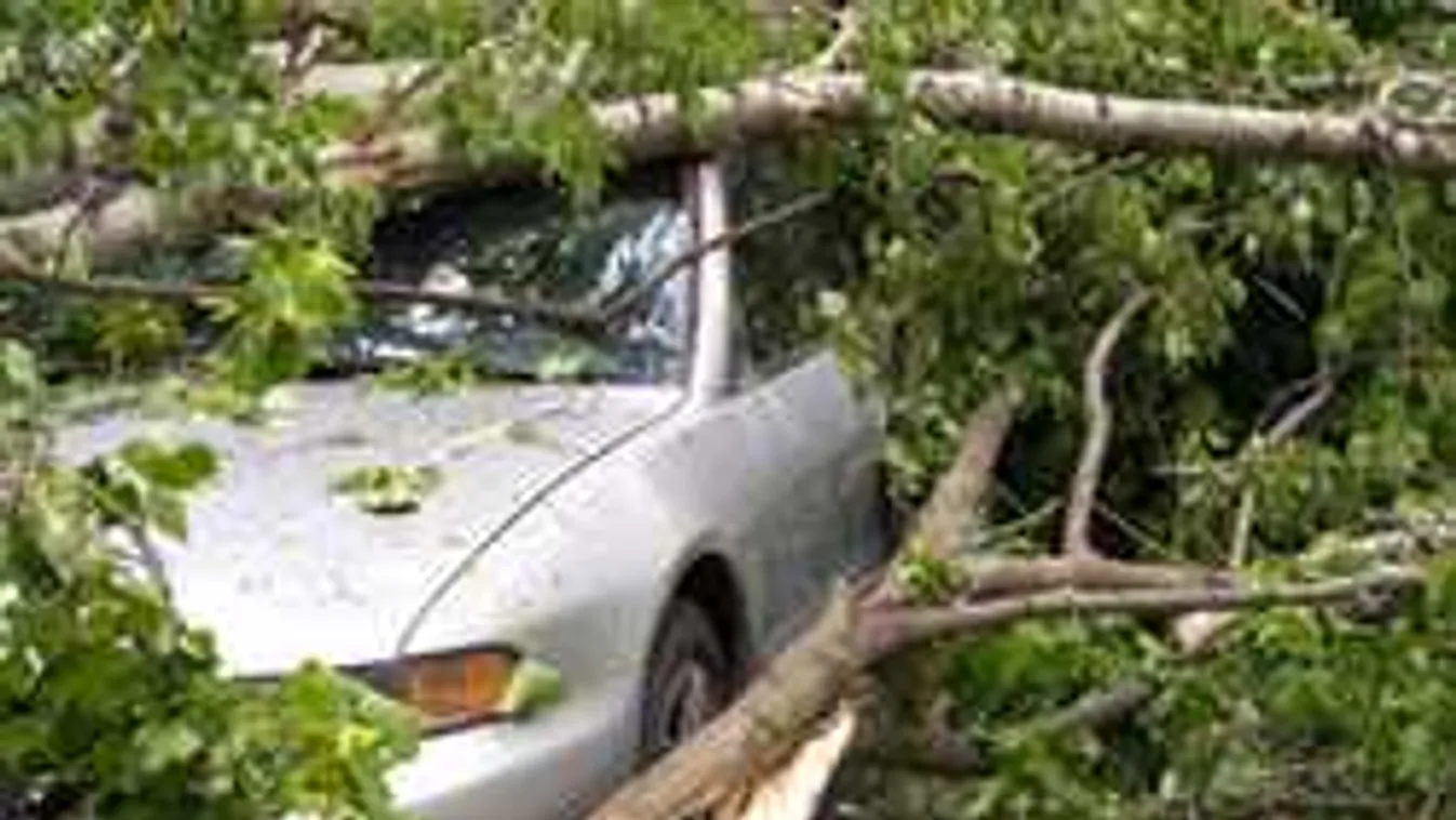 Dombóvári tragédia: a sírban is babáját öleli majd az anya