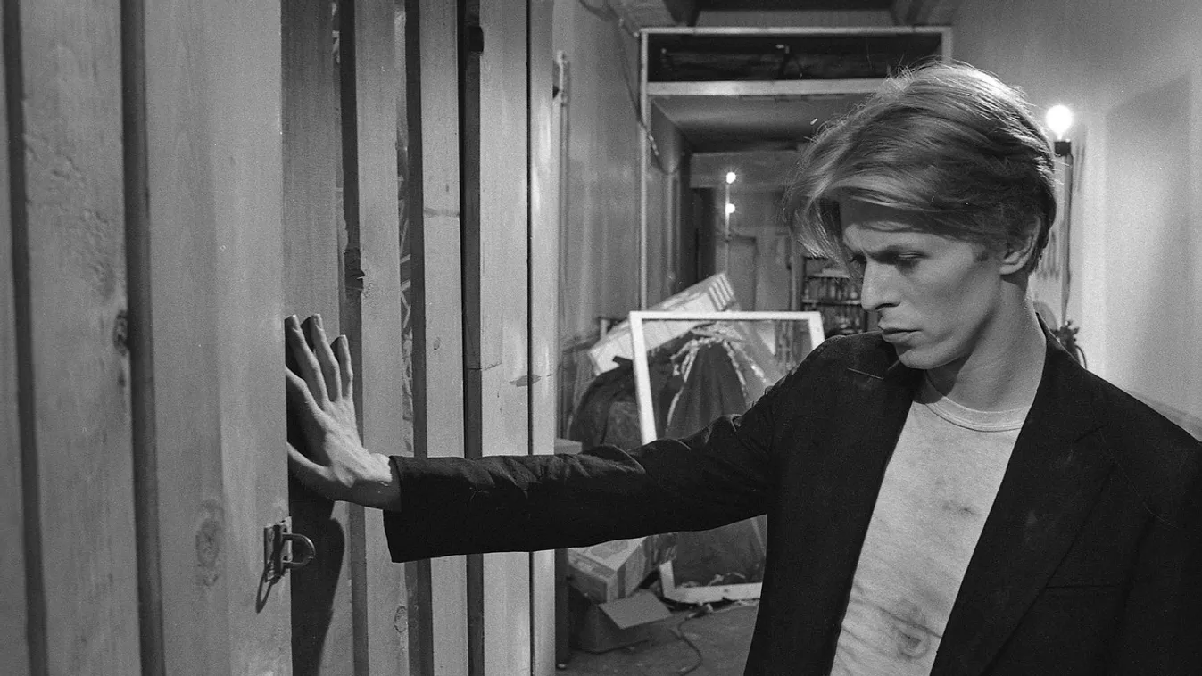 The Man who Fell to Earth film  (1976)