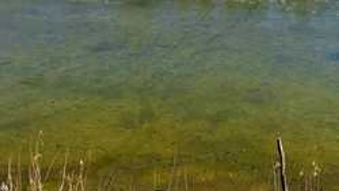 Megrázó részletek: apa és kislánya holttestét húzták ki a bányatóból