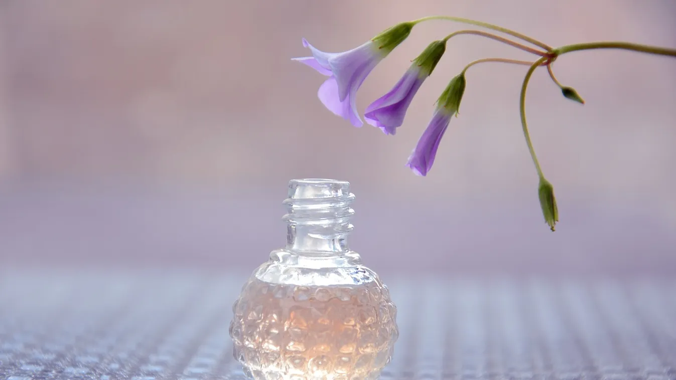 Elképesztő: ezt biztosan nem tudtad a parfümről