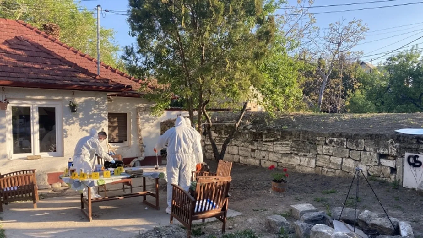 Letartóztatták a diósdi kettős gyilkosság gyanúsítottját