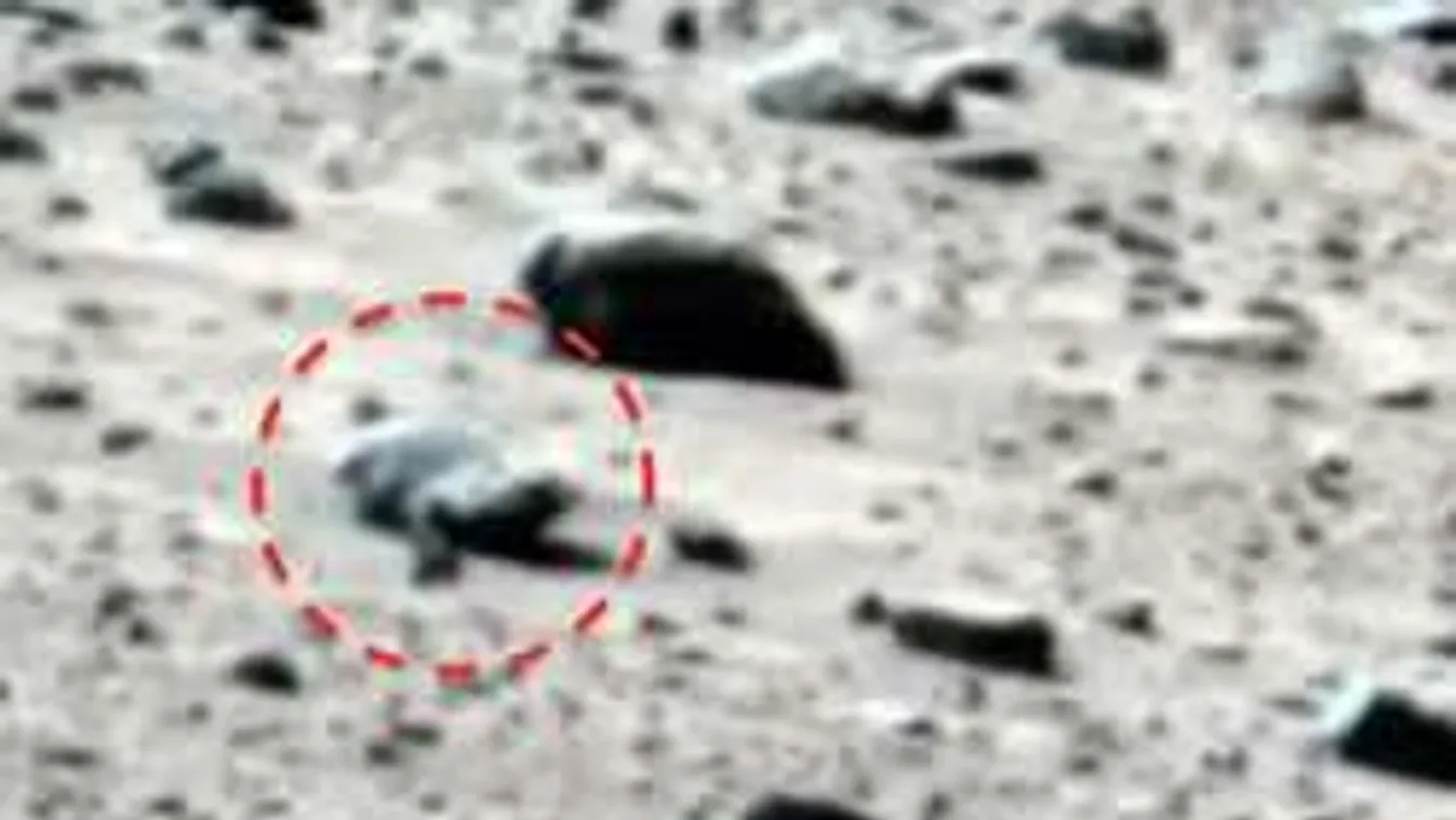 Meglepő fotó: Óriási fókát találtak a Mars sziklás részén!
