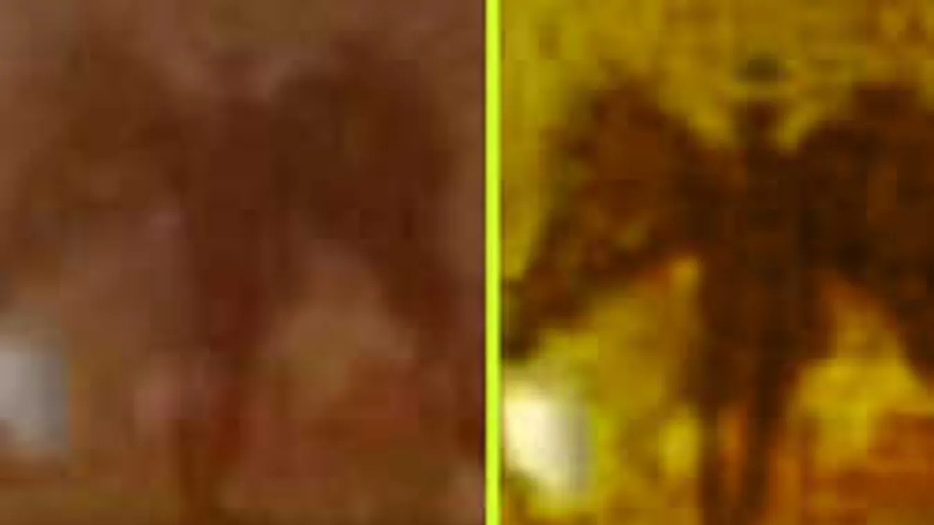 Hátborzongató dolgot fotózott a hajnali ködben egy rémült kocogó