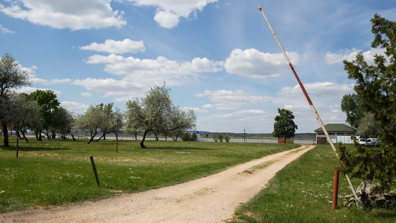 Szörnyű kínok közt pusztultak el a Velencei-tavi halak, kiderült, hogy miért