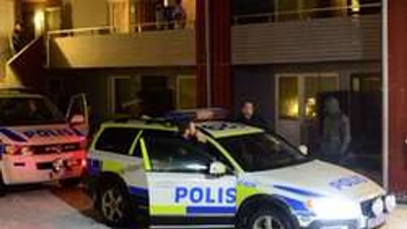 Videóra vették rémtettüket a svéd kisfiút megerőszakoló migránsok