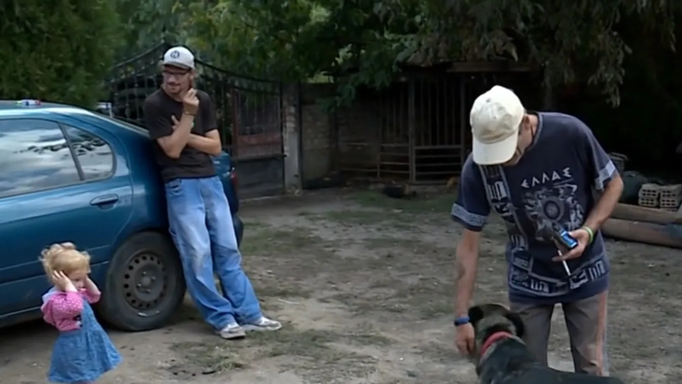 Így mentette meg egy kutya az egész utca életét Pilisen – videó