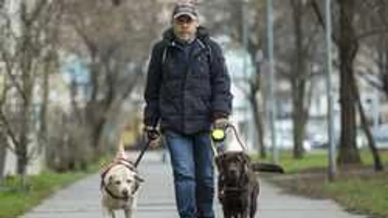 Látássérülteket zavarnak össze Óbudán a trehány munkások