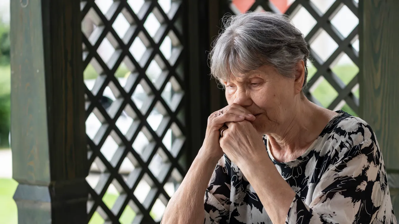 Megrázó interjút adott Pécsi Ildikó fia: Teljesült a színésznő utolsó kívánsága