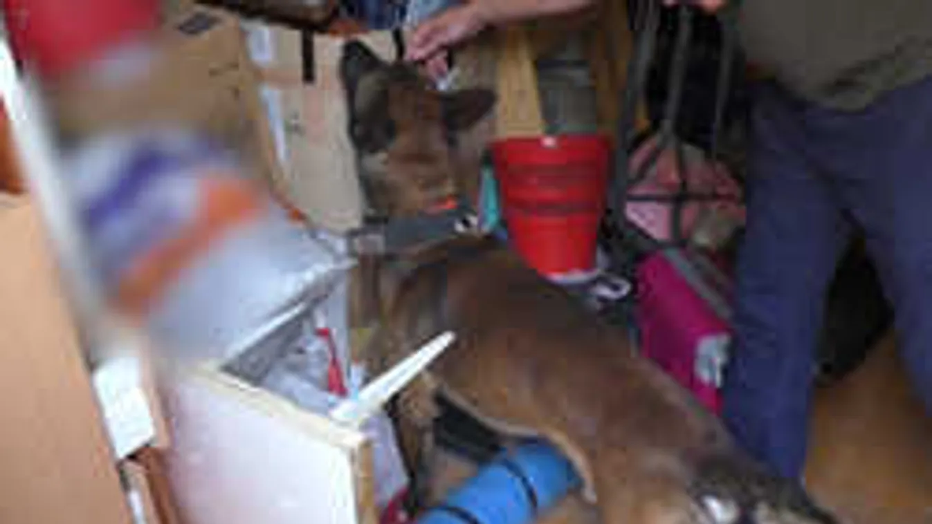 A rendőrök is elsápadtak, amikor megnézték a budapesti lány biciklijét