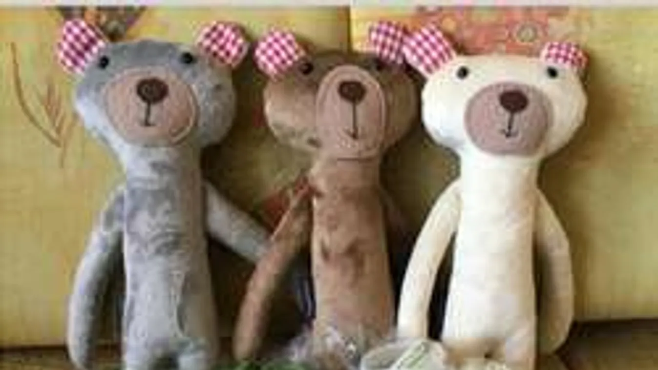 Árva medvebocsok tűntek el Veszprém belvárosában!