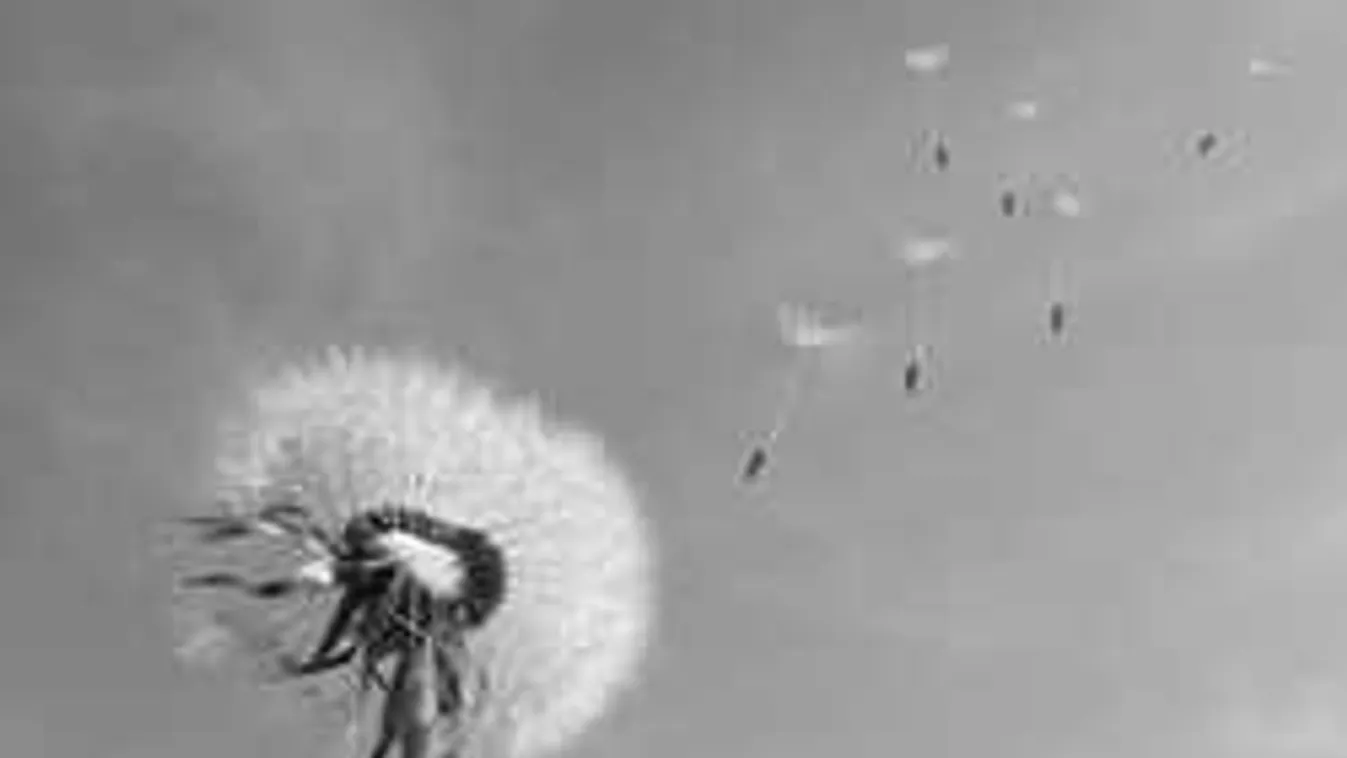 Minden a nyakunkba szakad, ekkor jön a durva hidegfront