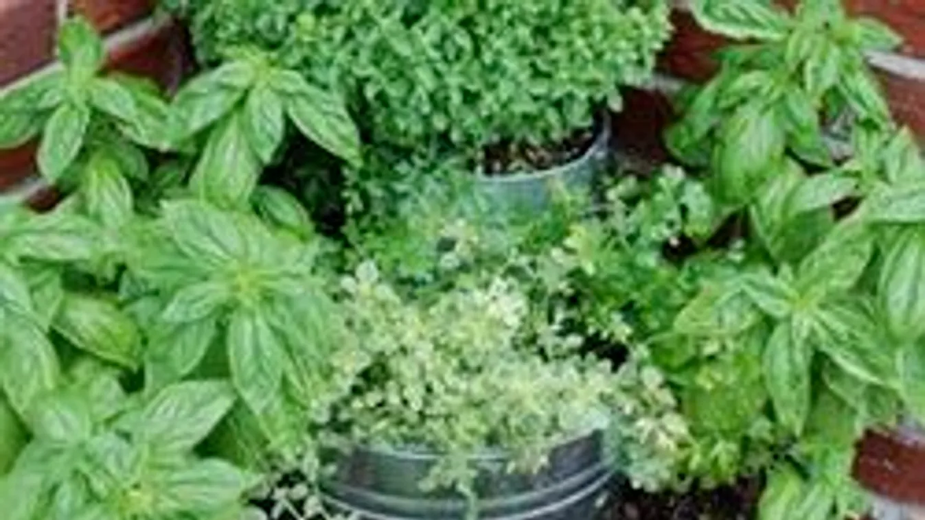 Lakjuk be a teraszt! Pici ekélyek, hatalmas ötletek