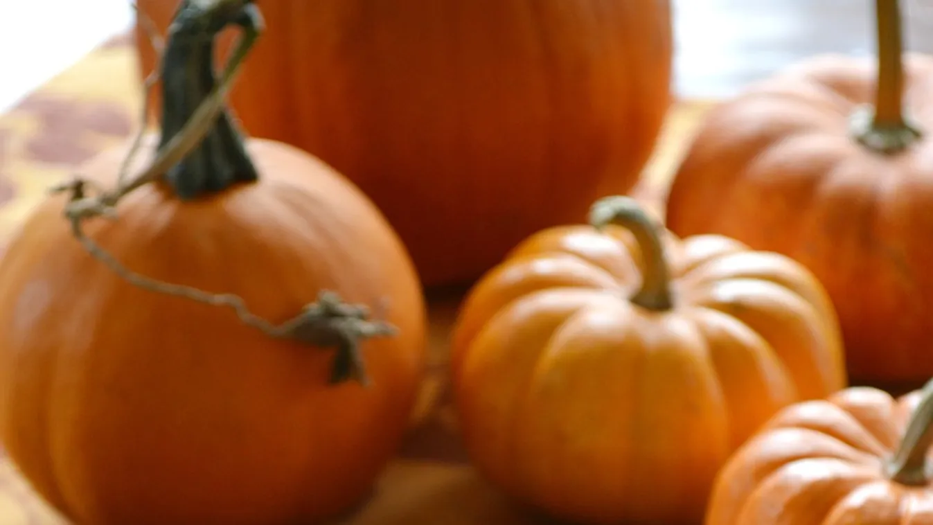 Javában zajlik a tökszezon