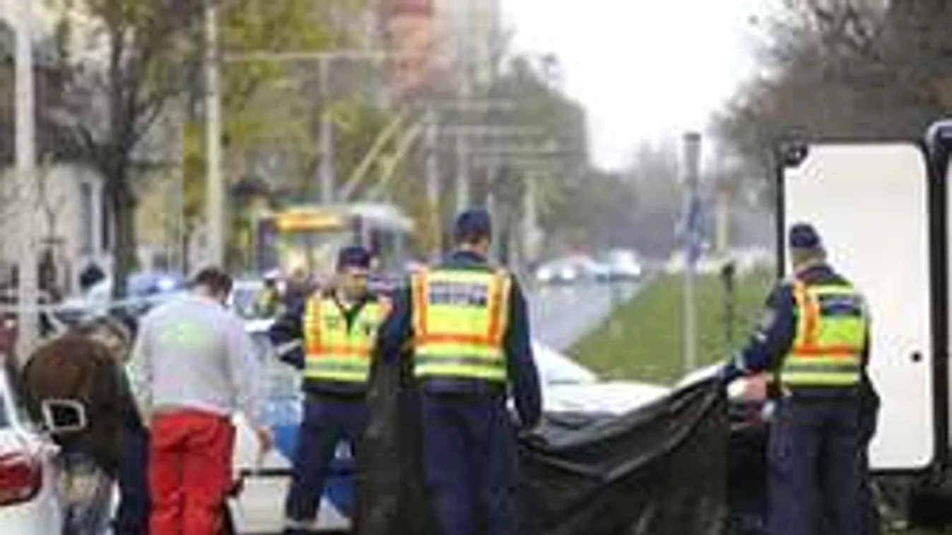 Vérlázító! Ezért úszhatja meg a börtönt a bekokainozva gázoló nő!