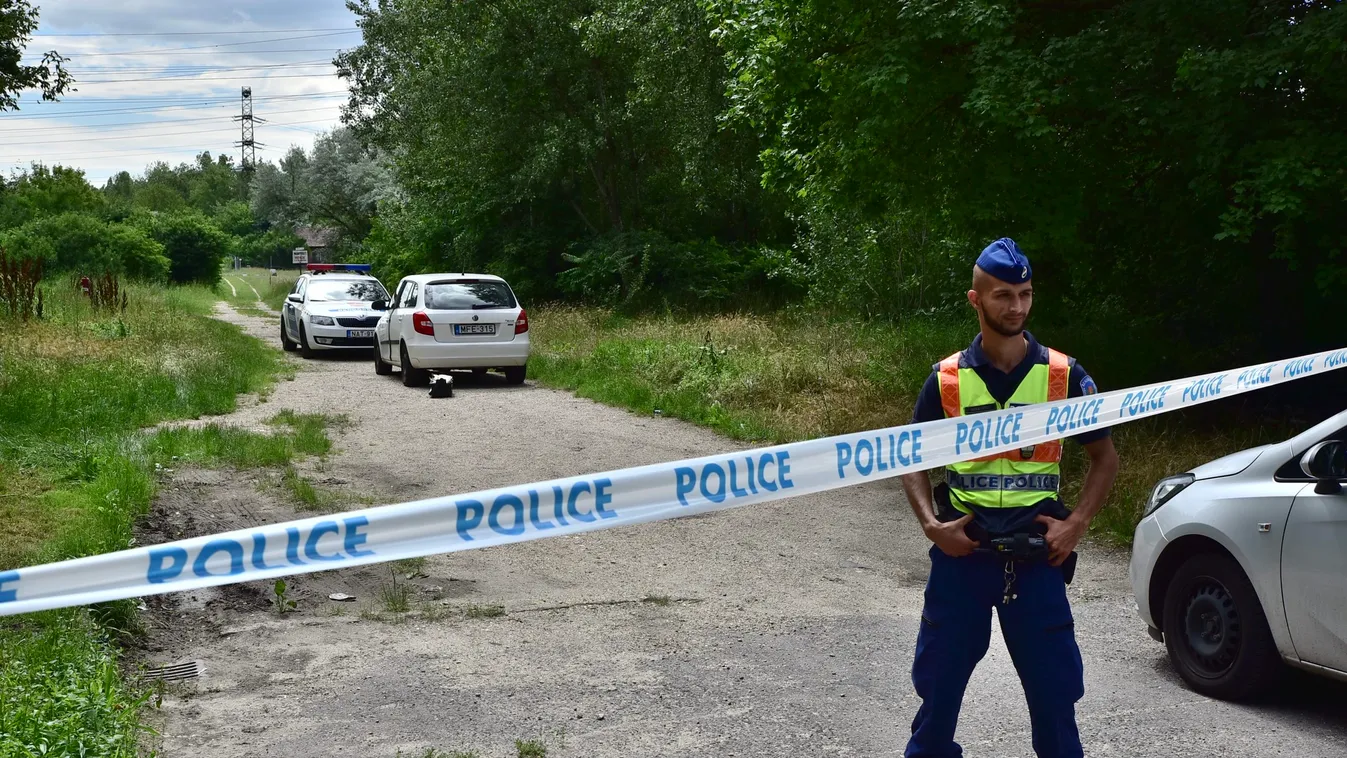 Helyszíneltek Újpalotán: ellepték a rendőrök az erdőt
