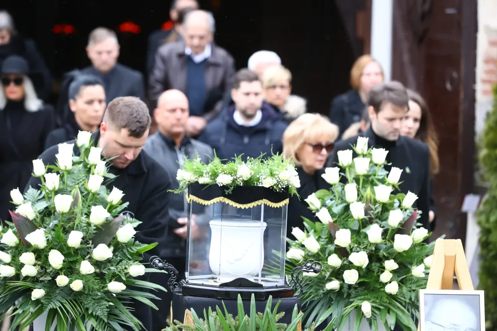 C4FEB3E2-A069-4F68-928A-6625F129950E