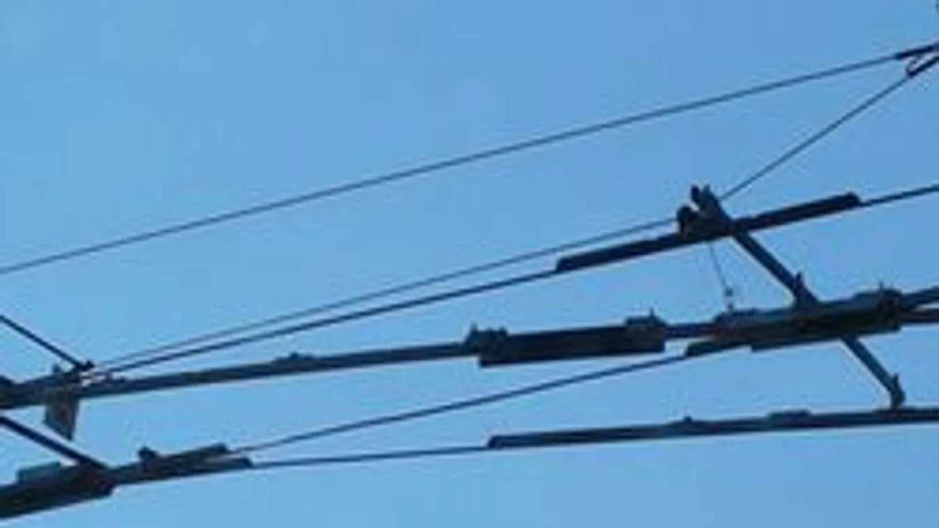 Áramütés miatt meghalt két munkás Monoron