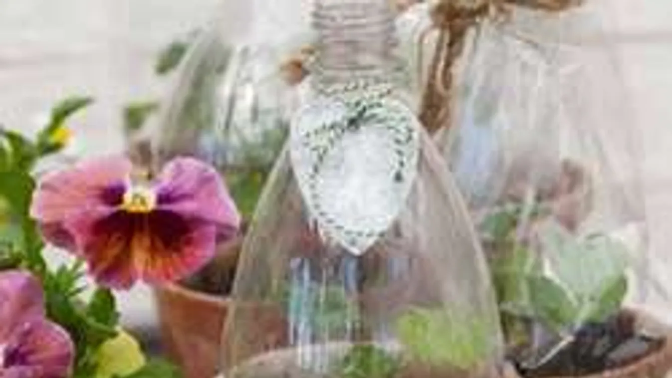 Trükkös ötlet: Így védd meg a palántáidat a tavaszi fagytól!