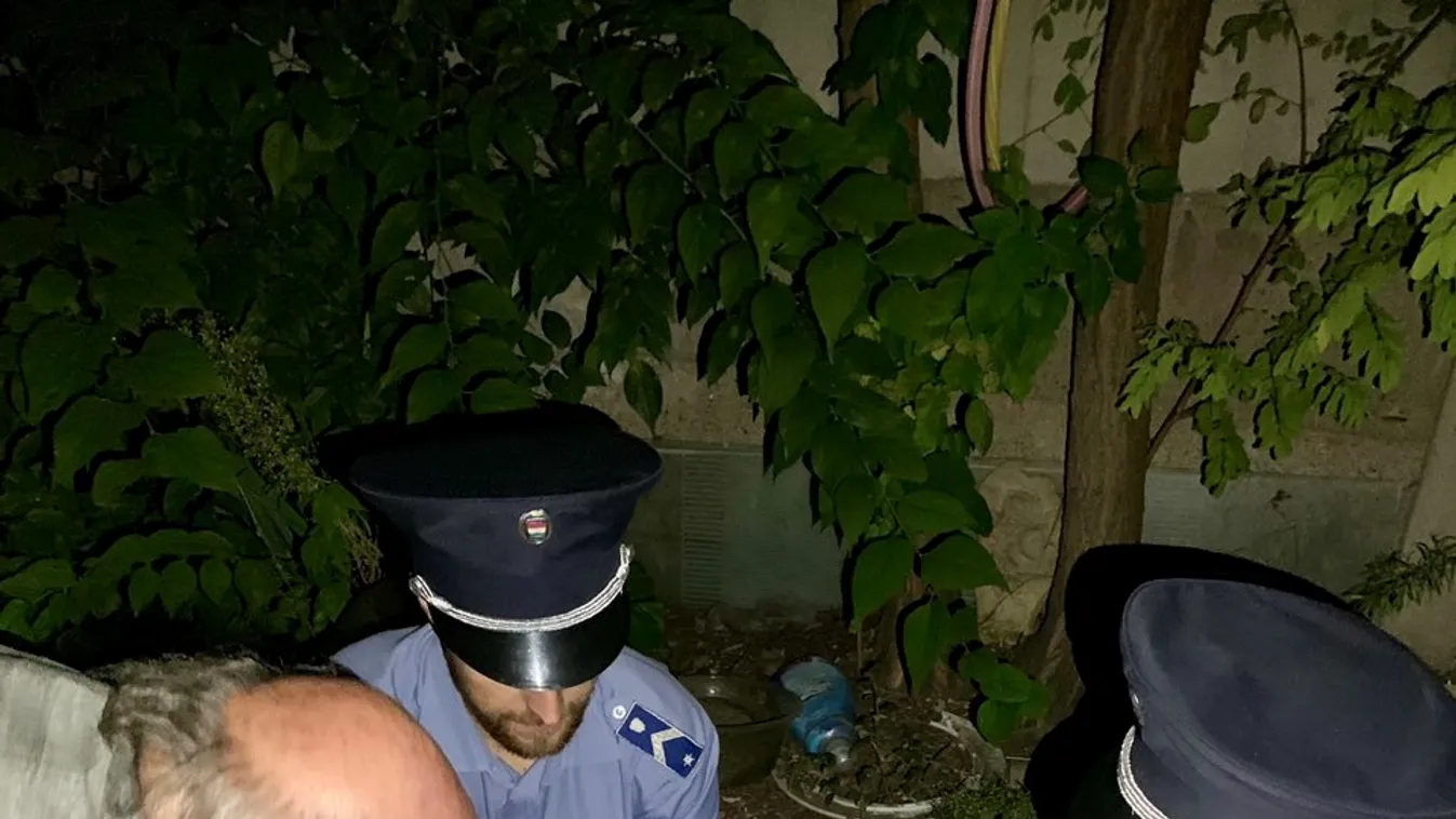 Megbánta tettét a macskákat elásó asszony