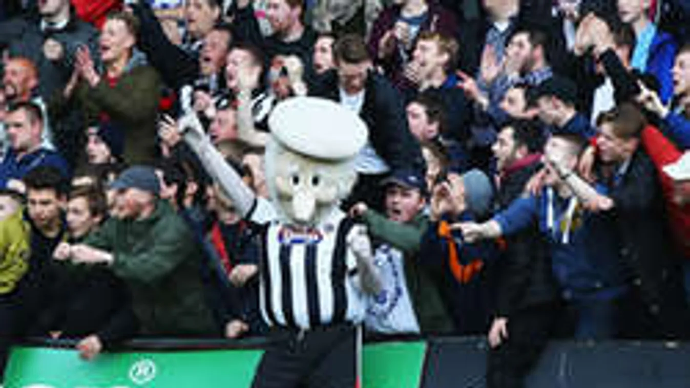 Ilyen van? Cápával támadt a biztonsági őrre!