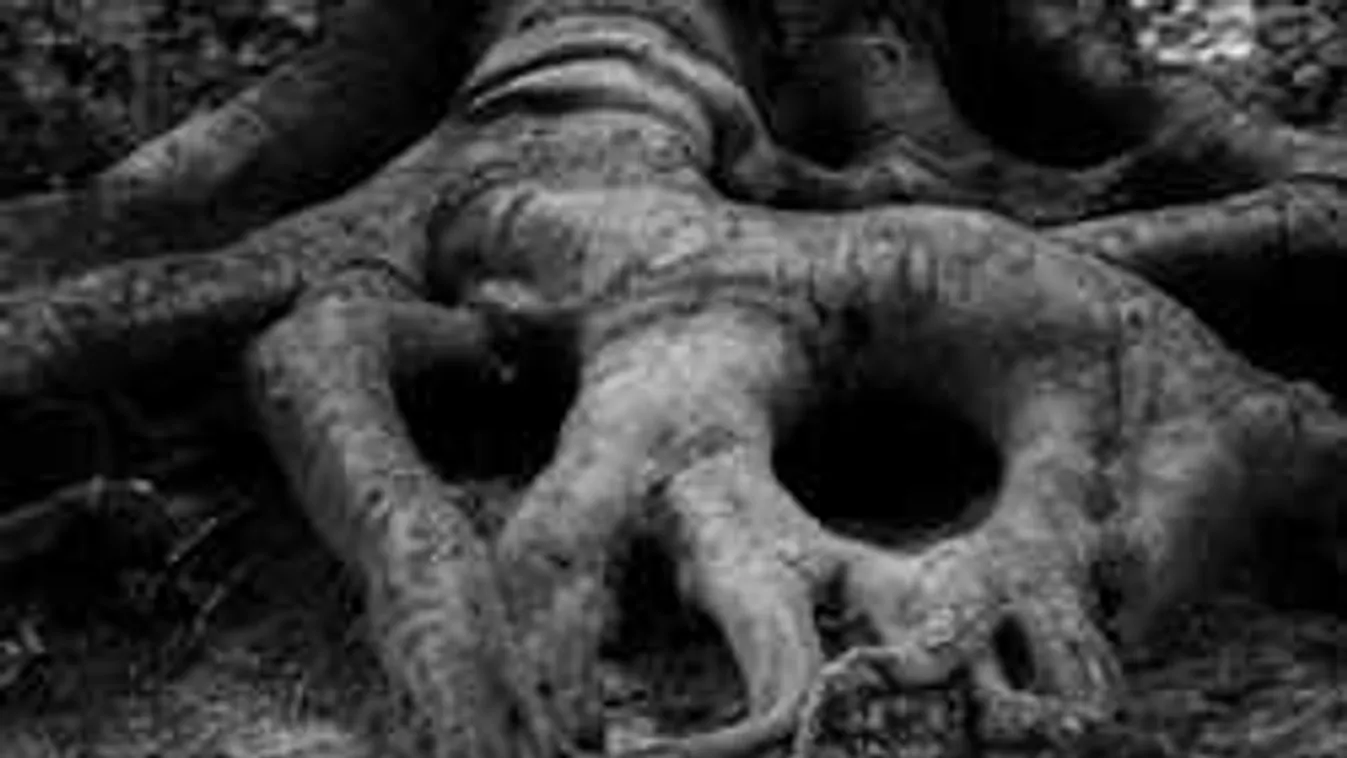 Brutálisan megerőszakolt egy lengyel nőt Stockholmban két arab