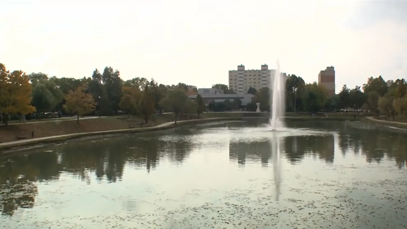 Sokkot kapott a járókelő: egy férfi holtteste lebegett a tiszaújvárosi dísztóban