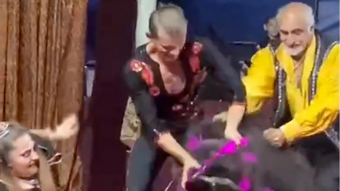 Rémálommá vált a cirkuszi előadás, idomárjára támadt a medve