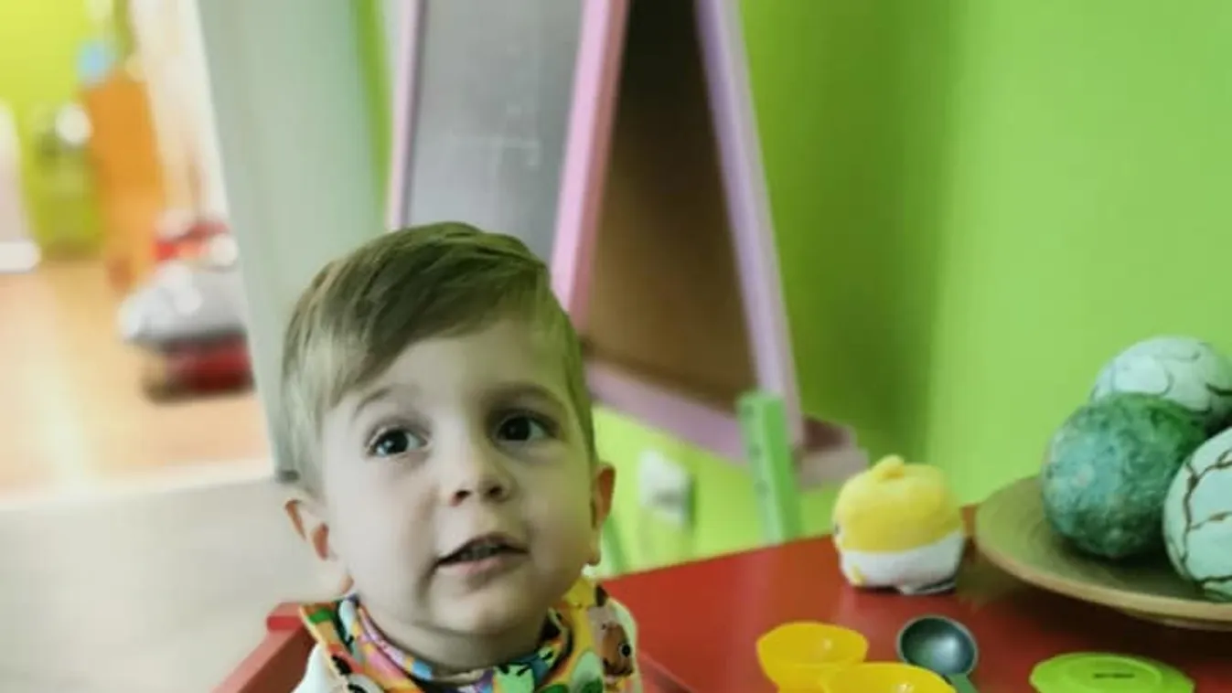 Darázs támadt az SMA-s Zentére