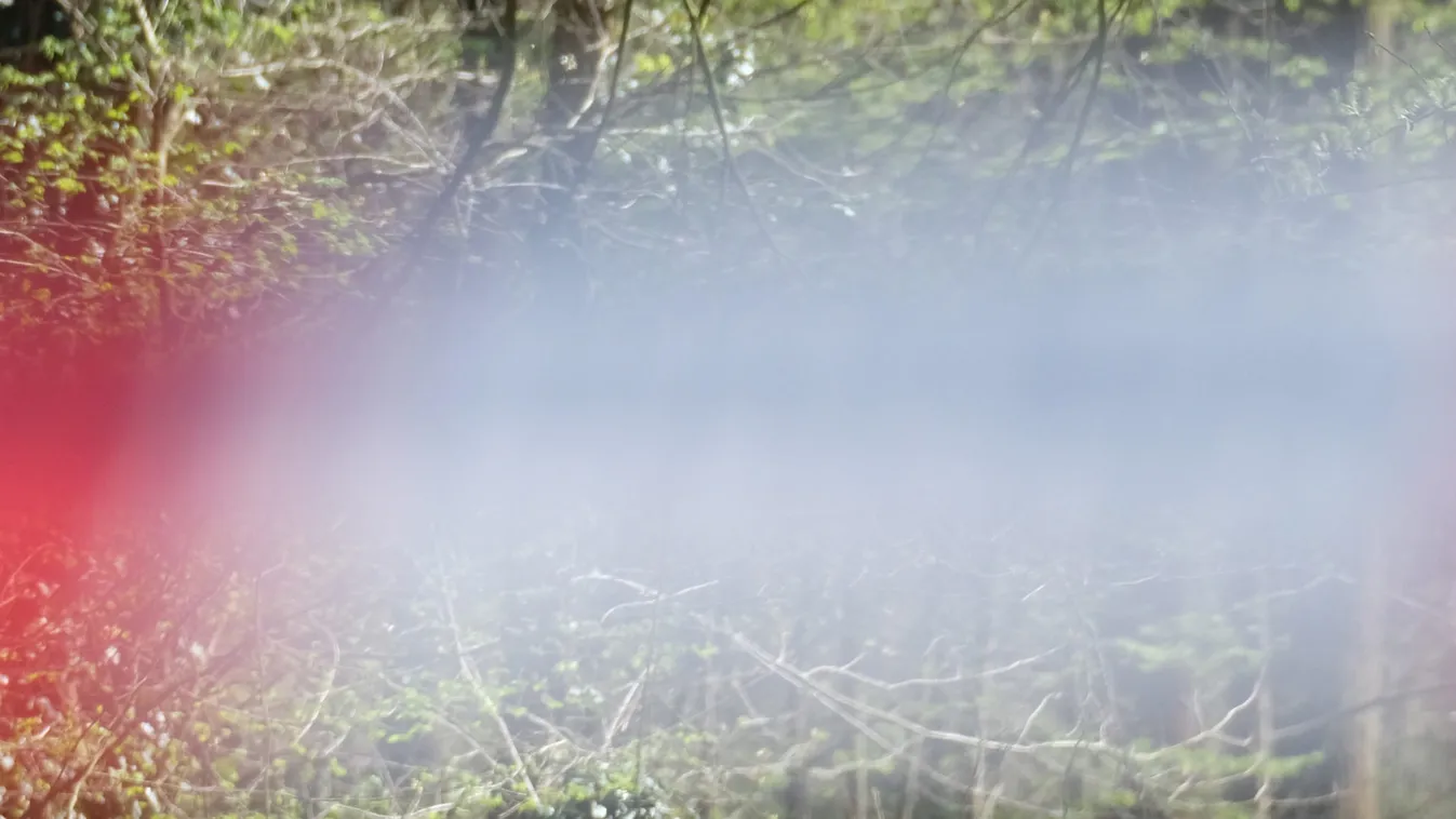 Violent crime in the Leipzig floodplain forest