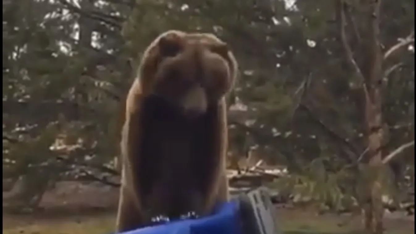 A macinak sikerült: vicces videóval hívják fel a figyelmet az újraélesztés fontosságára a mentősök