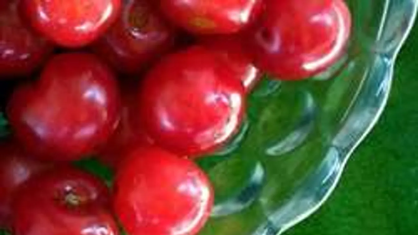 Ne dobd ki a meggymagot! Gazdaggá tehet!