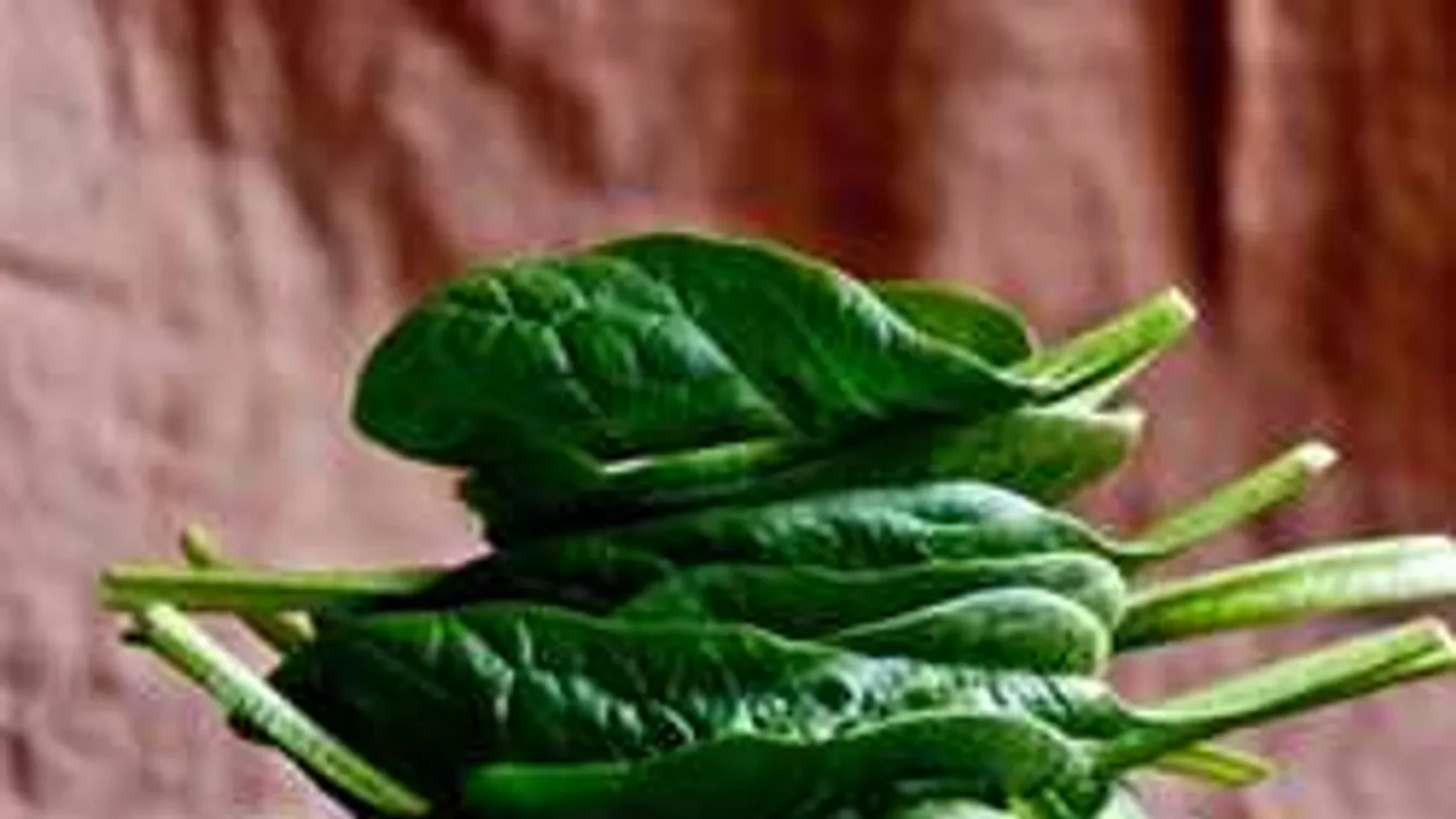 Szeretnél sima, puha, ránctalan bőrt? Egyszerű a megoldás!