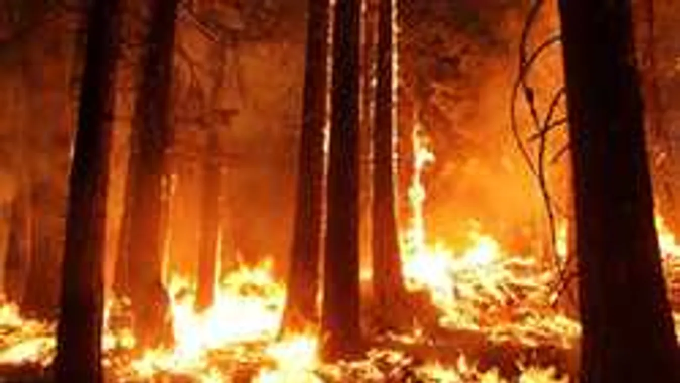 Drámai videó: így pusztít a kaliforniai erdőtűz