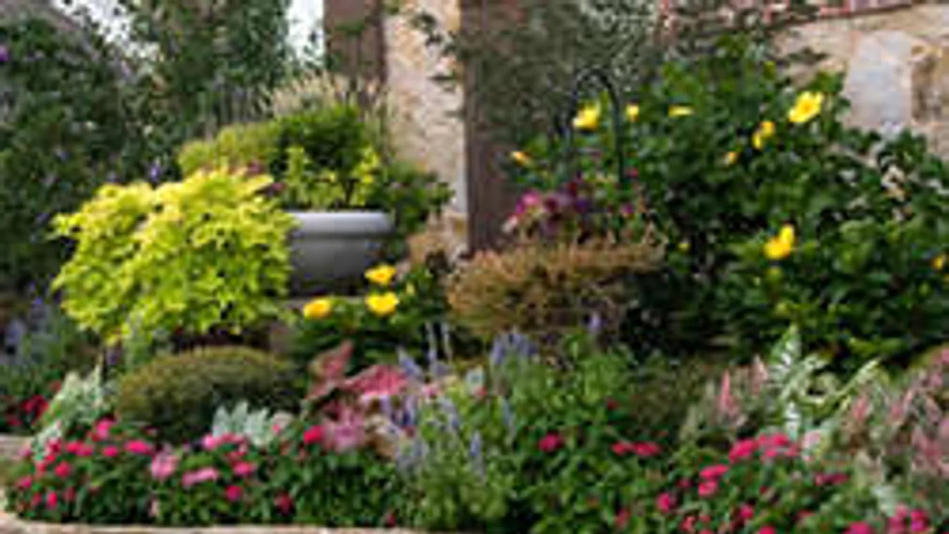 Tegyél gyufásdobozt a virágágyásba, és meg fogsz döbbenni!