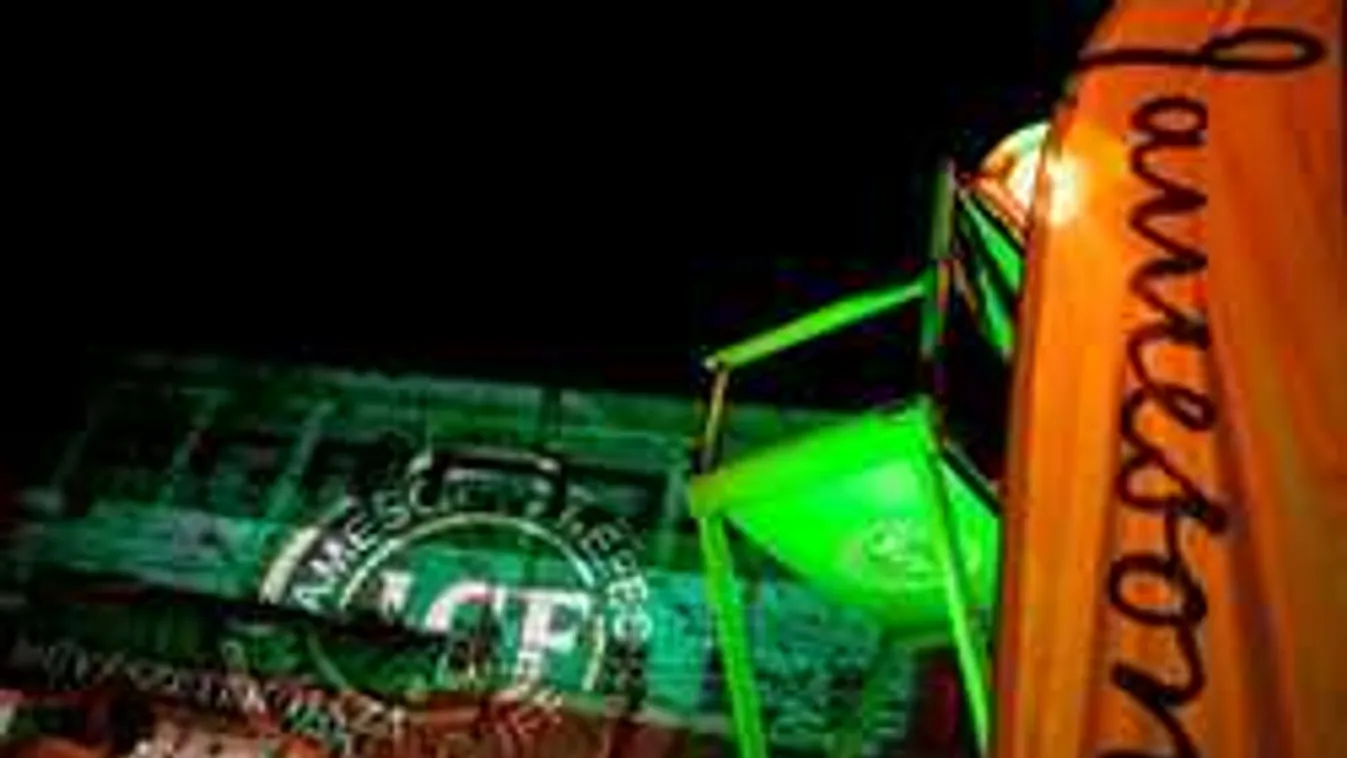 Koncertek, finomságok és más érdekes programok a CineFesten!